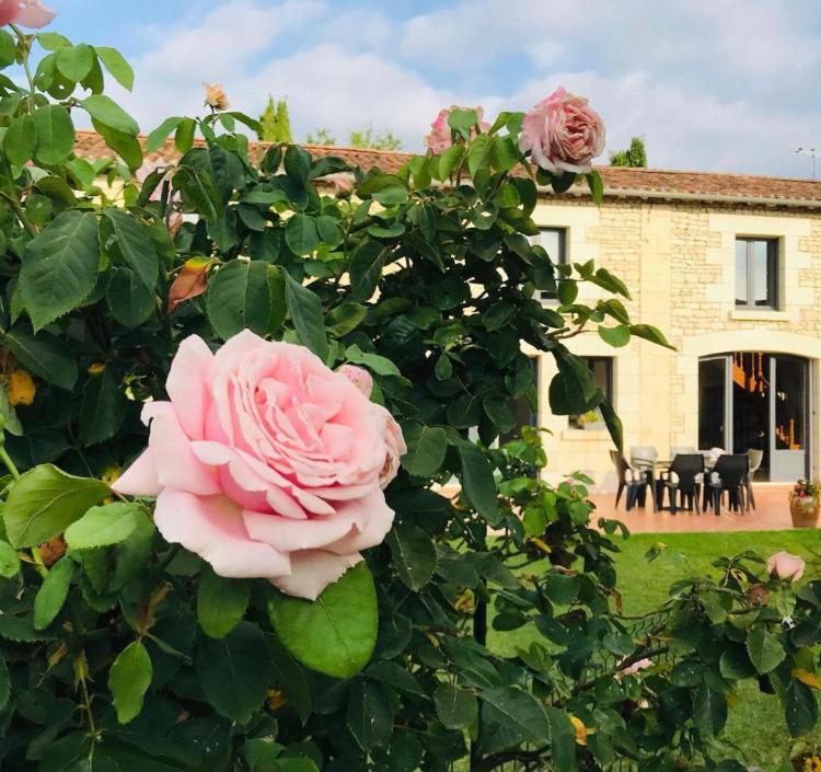 Gite Au Boom Coeur En Options Spa Et Repas Tourtenay Dış mekan fotoğraf