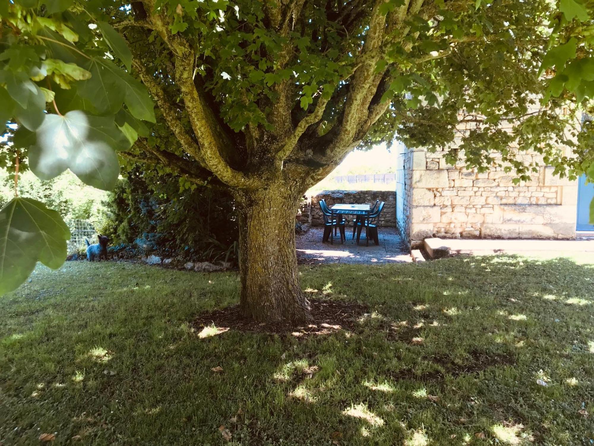 Gite Au Boom Coeur En Options Spa Et Repas Tourtenay Dış mekan fotoğraf